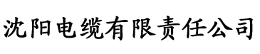 草莓视频免电缆厂logo